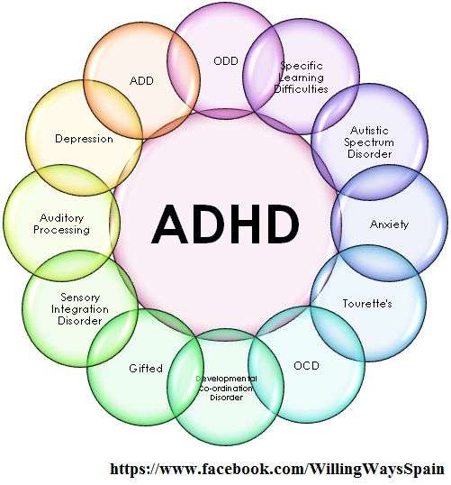 160 best images about Autisme and ADHD on Pinterest