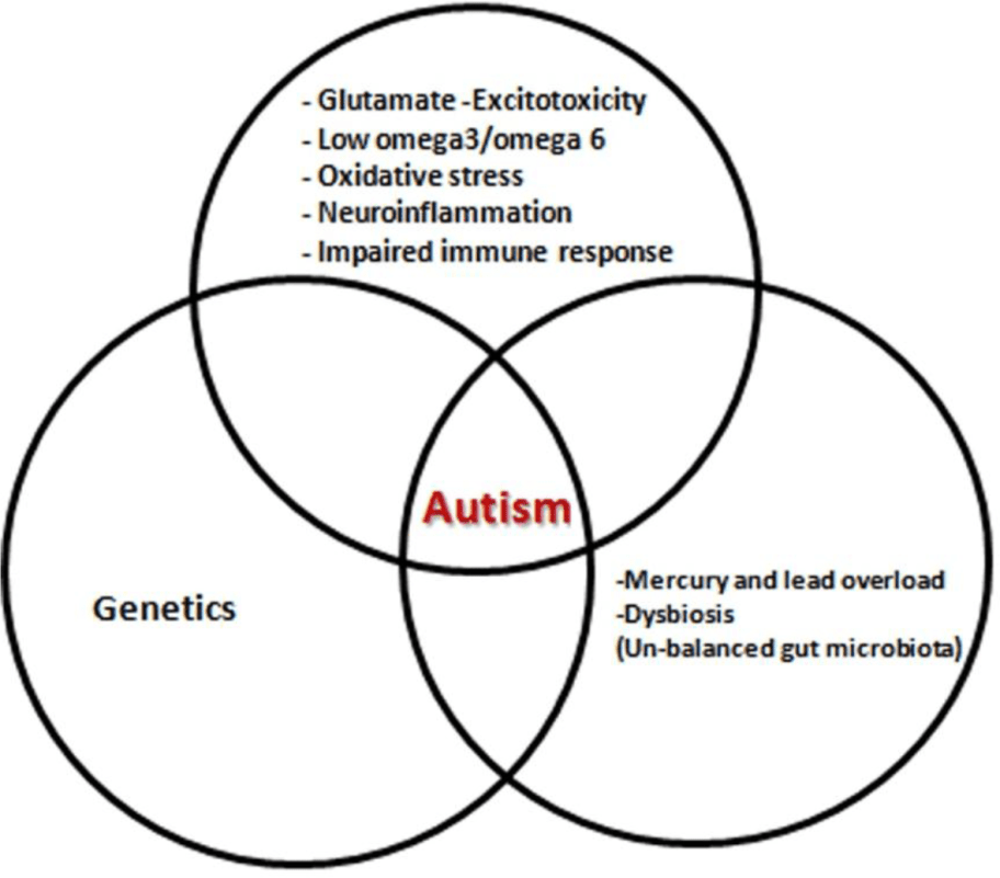 Autism spectrum disorder (Part 2)