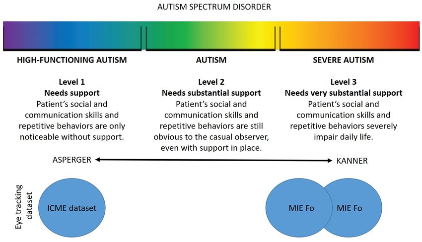 Autistic spectrum disorders adapted from [17].