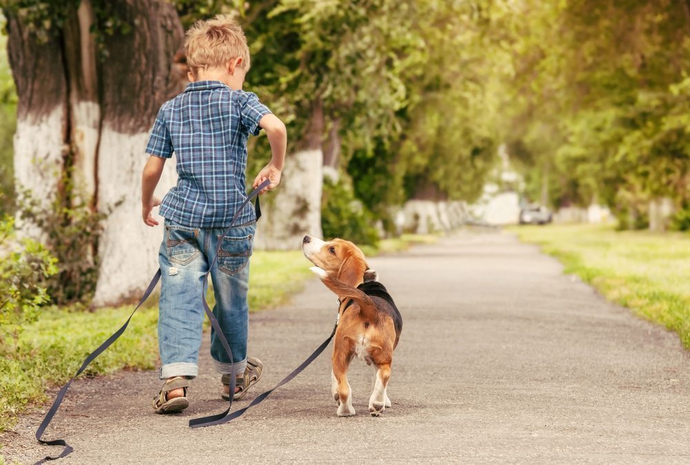 Benefits of Having a Dog for an Autistic Child