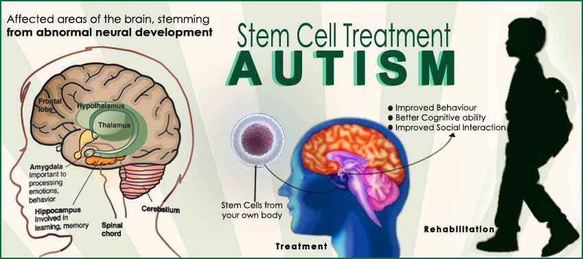 Biomedical Treatment for Autism in India, Best Autism ...