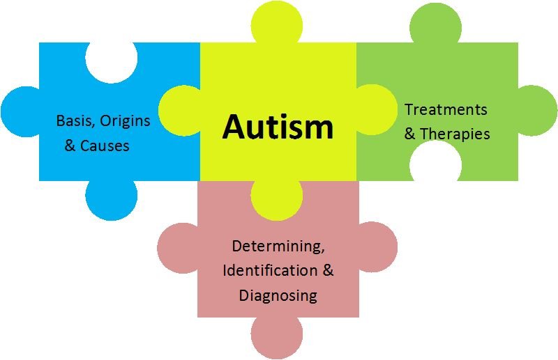 Discovering the Genetics of Autism