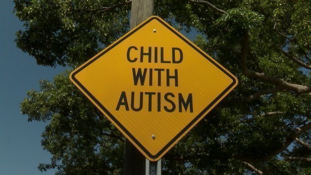 Petition · Village of Hamburg: Install " Child with Autism ...