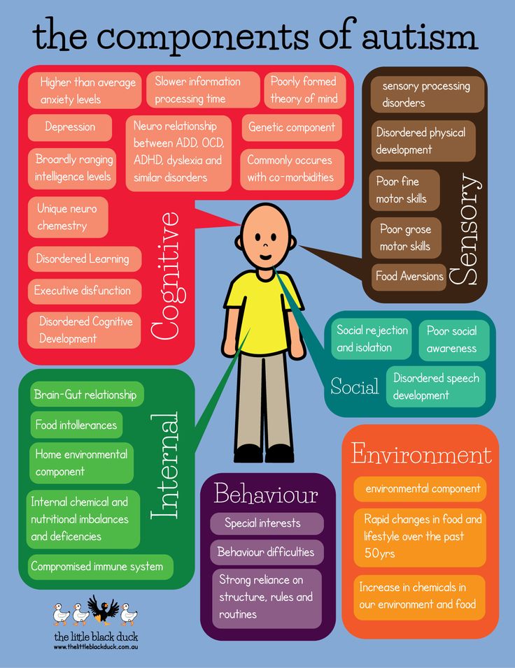 The Components of Autism (Infograph)