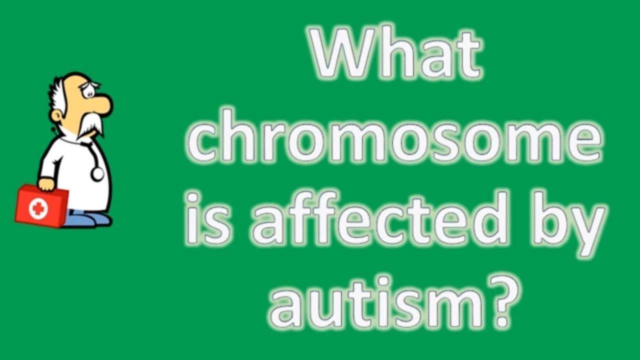 What chromosome is affected by autism ?