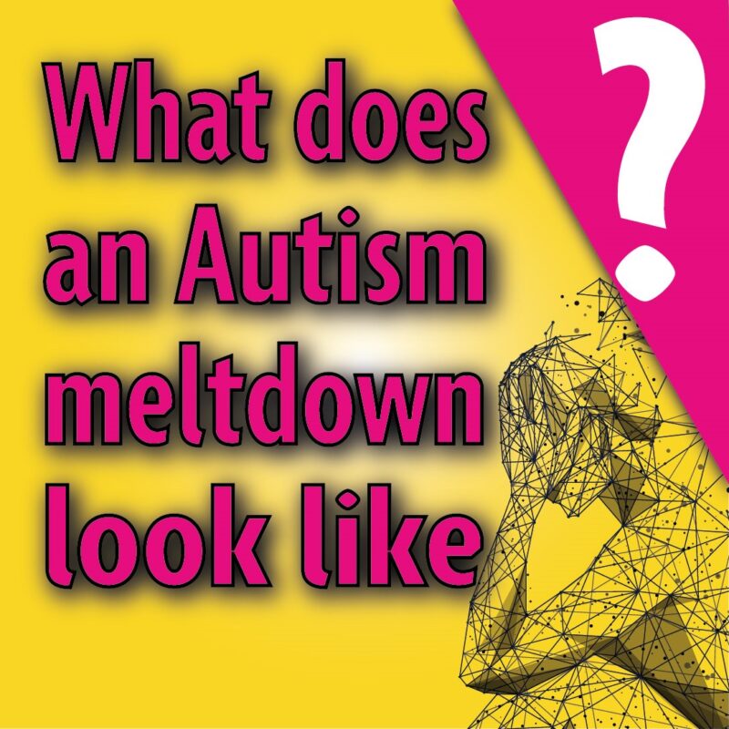 What does an autism meltdown look like?