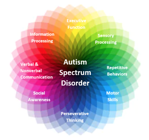 Why is Autism called Autism Spectrum Disorder?